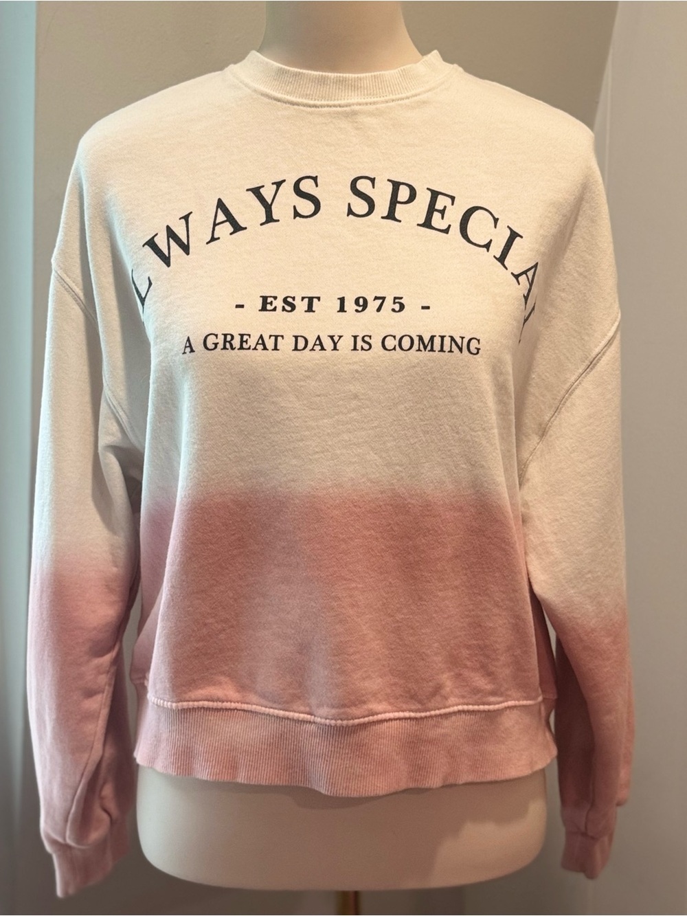 Zara Cream/Pink Ombré Graphic Crewneck Sweatshirt Always Special Size Girls XL